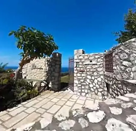 Dalessandro Capri